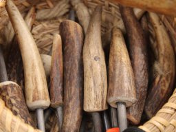 2023 Nestbetreuerfortbildung