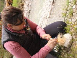 2023 Nestbetreuerfortbildung