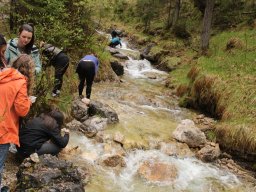 2023 Nestbetreuerfortbildung