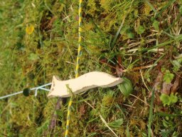 2023 Nestbetreuerfortbildung