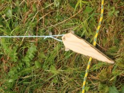 2023 Nestbetreuerfortbildung