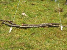 2023 Nestbetreuerfortbildung