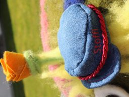 2023 Nestbetreuerfortbildung