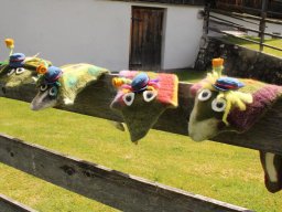 2023 Nestbetreuerfortbildung