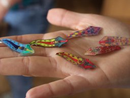 2023 Nestbetreuerfortbildung