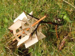 2023 Nestbetreuerfortbildung