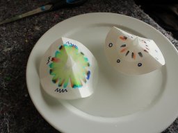 2023 Nestbetreuerfortbildung