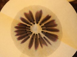 2023 Nestbetreuerfortbildung