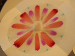 2023 Nestbetreuerfortbildung