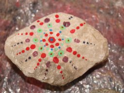 2023 Nestbetreuerfortbildung